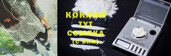 прущая мука Няндома