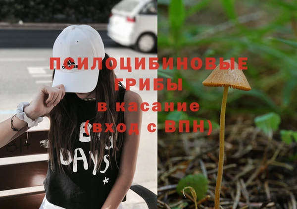 2c-b Нязепетровск
