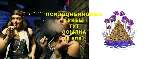 прущая мука Няндома