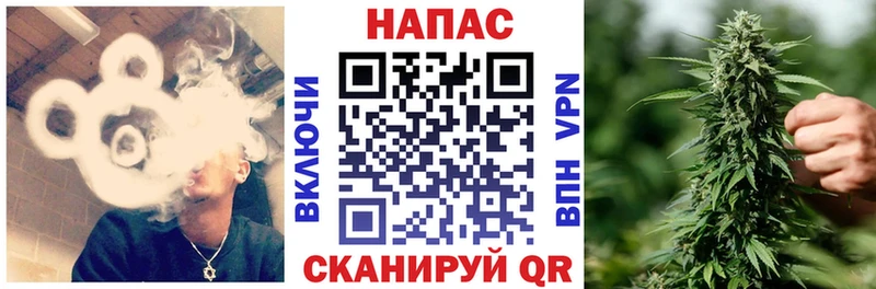 Конопля план Руза